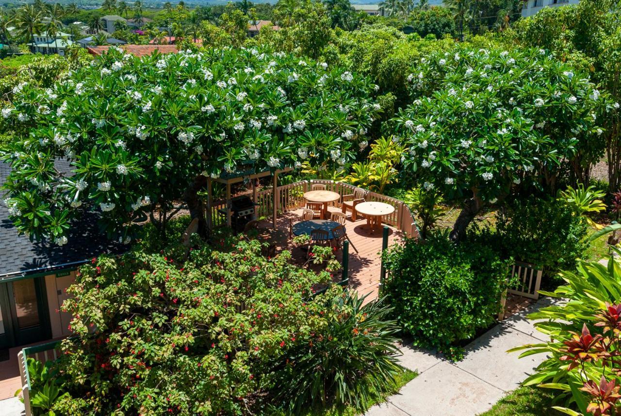 Poipu Plantation Vacation Rentals Koloa Esterno foto